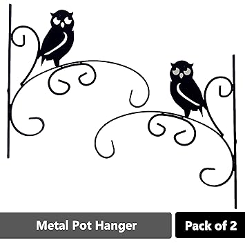 Sharpex Hanging Plants Bracket Wall Planter Hook Flower Pot Bird