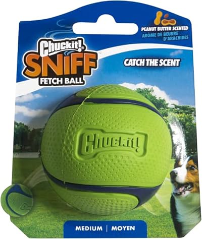 Chuckit! Sniff Peanut Butter Scented Dog Fetch Ball Medium