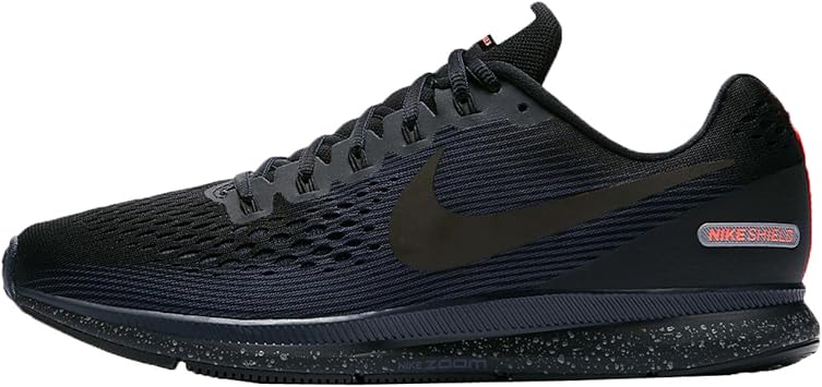 air zoom pegasus 34 shield