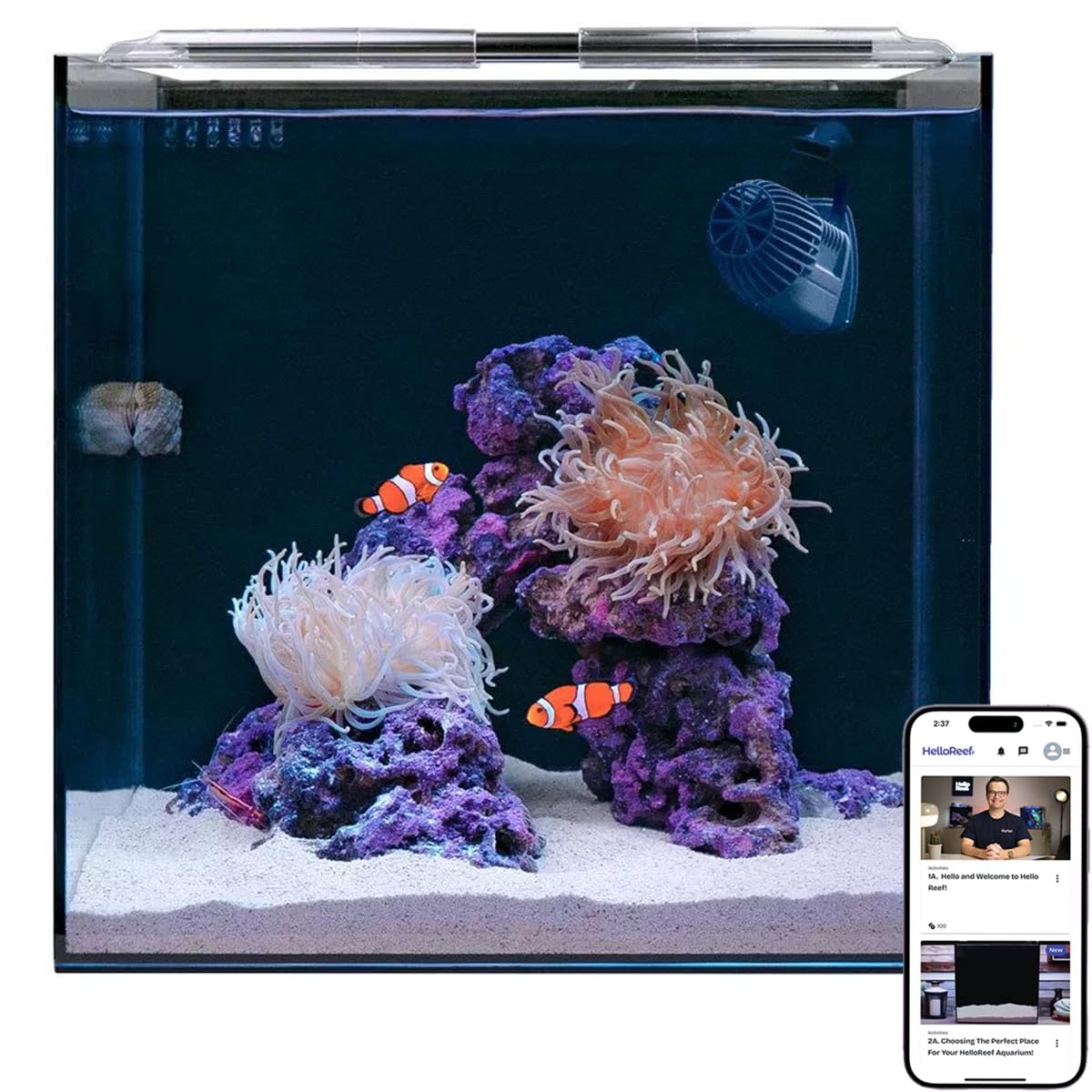 Photo 1 of HelloReef 15 Gallon Beginner Clownfish Saltwater Aquarium Kit with App Controlled Smart LED Lighting, Filtration, Decor, and Setup Guide