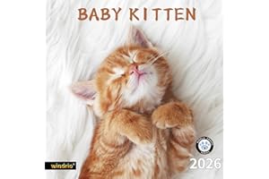 WINDRIO 2026 Wall Calendar,Calendar 2026, November 2025 - December 2026, Wall Calendar Baby Kitten, 12" x 24" Opened,Full Page Months Thick & Sturdy Paper for Calendar Organizing & Planning