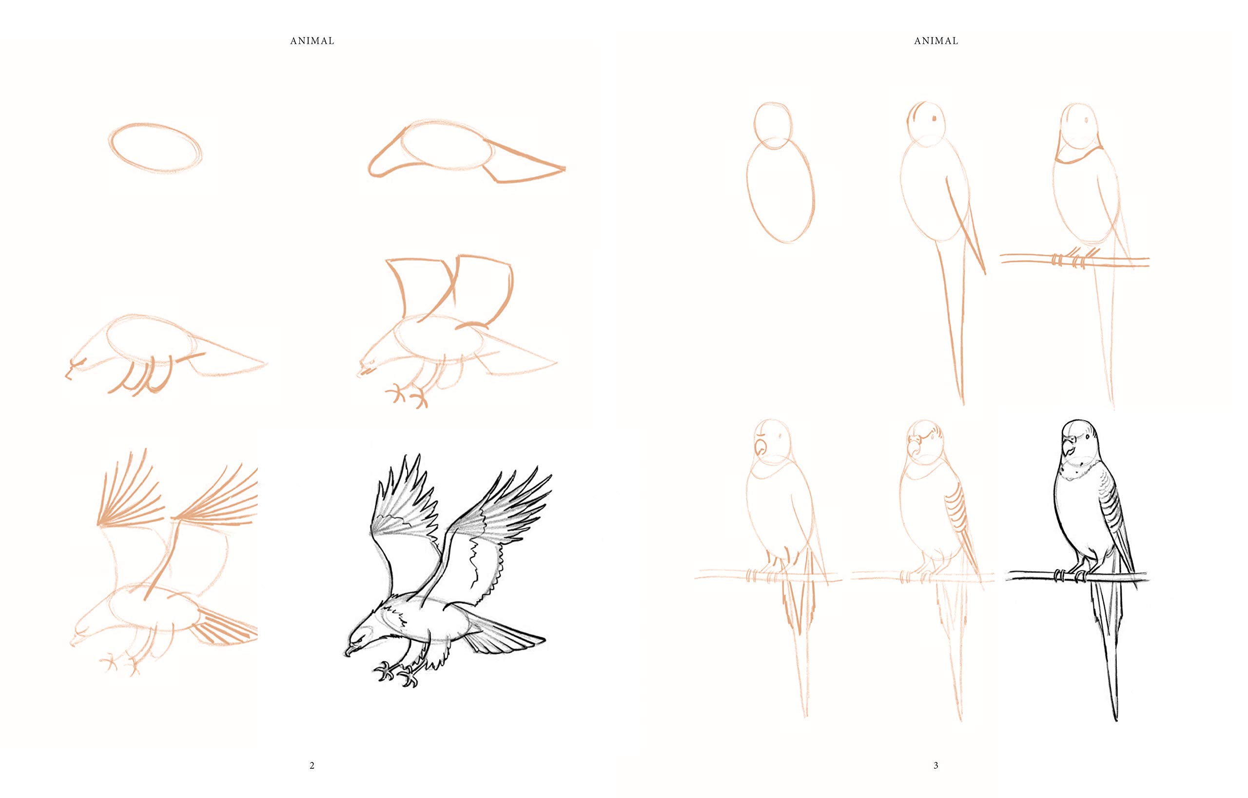 Draw 200 Animals: The Step-by-Step Way to Draw Horses, Cats, Dogs, Birds, Fish, and Many More Creatures