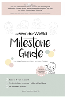 the wonder weeks online guide