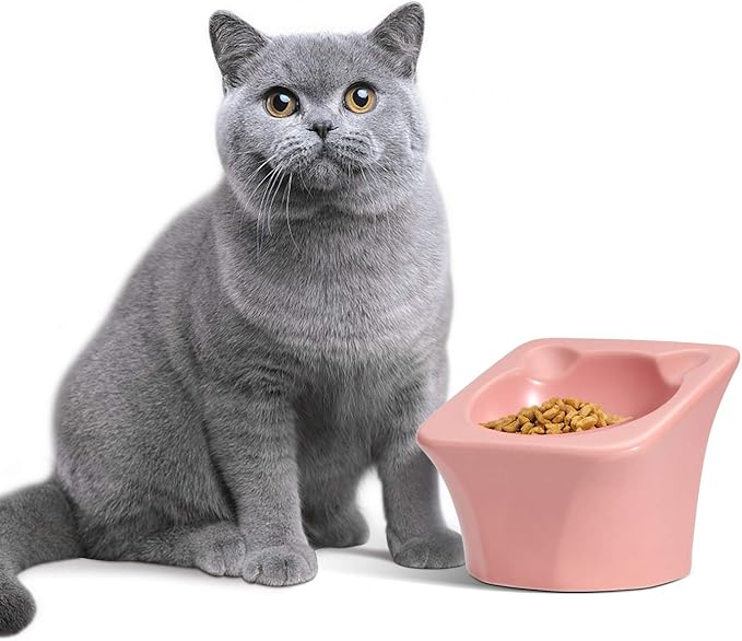 ComSaf Raised Cat Food Bowl, Elevated Slanted Kitten Bowl