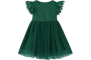 RJXDLT Toddler Girls Lace Dresses Baby Girl Elegant Dress Flutter Sleeve Lace Party Princess Dress