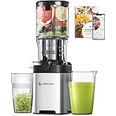 AMZCHEF Cold Press Juicer, Juicer Machines - 5.2" Large Feed Chute for Whole Fruits & Vegetables, Stainless Steel Slow Mastic