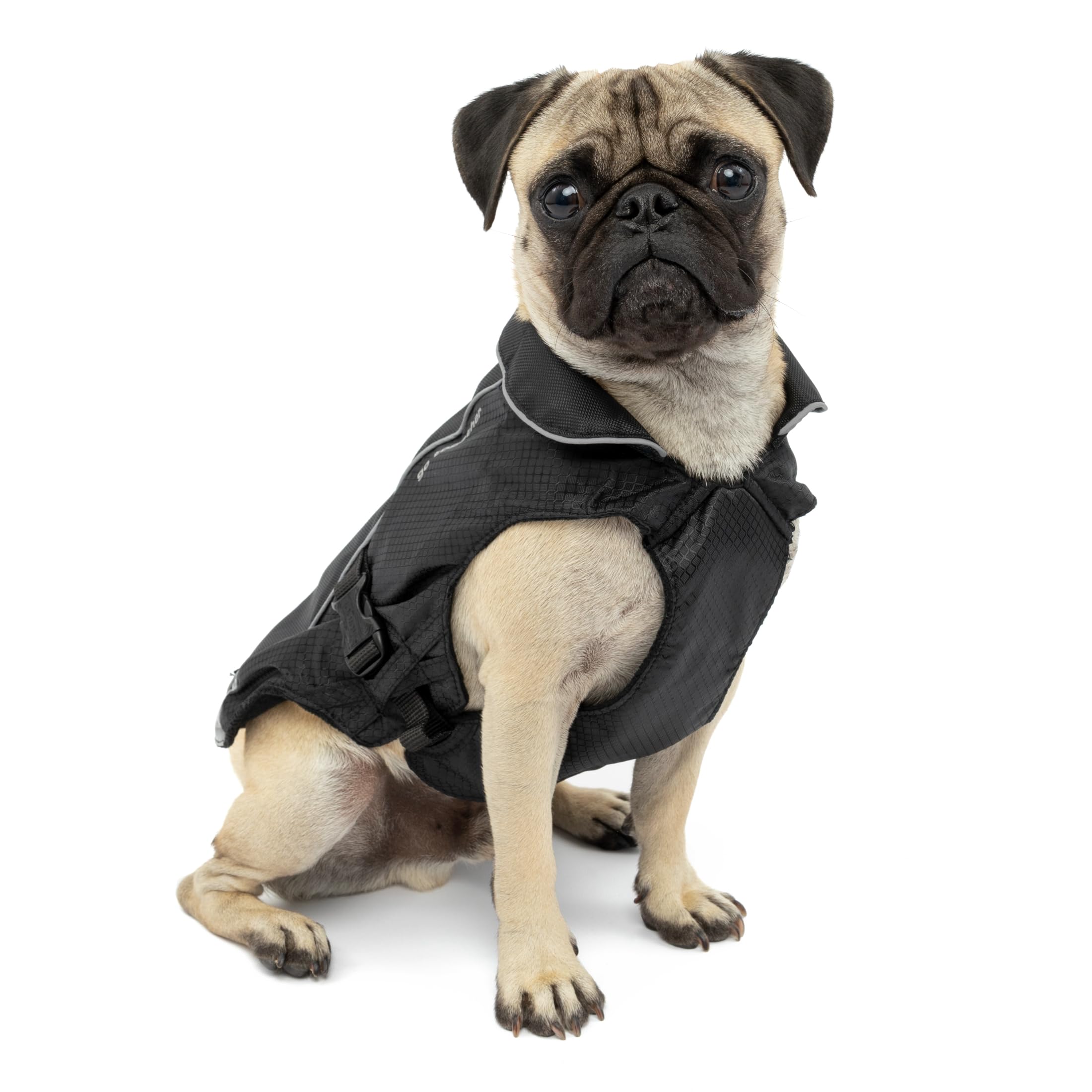 Kurgo North Country Dog Coat, Cold Weather Dog Jacket, Water-Resistant, Fleece-Lined, Includes LED light, Small-Black