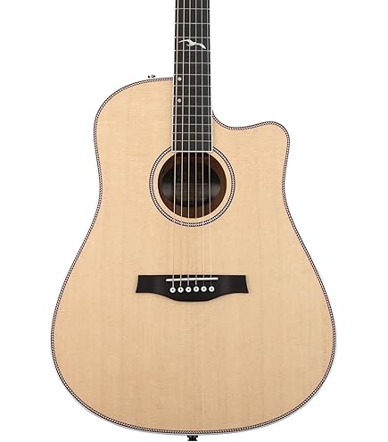 【美品】Seagull Performer CW Flame Maple QIT sddefault.jpg