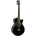 Washburn EA10B-A Festive Series Petite Jumbo Cutaway Acoustic Electric Guitar
