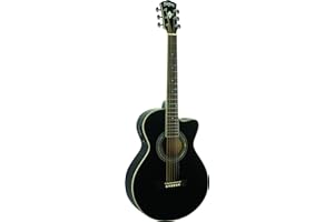 Washburn EA10B-A Festive Series Petite Jumbo Cutaway Acoustic Electric Guitar