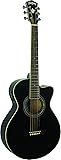 Washburn EA10B-A Festive Series Petite Jumbo