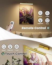 Bridika Picture Lights for Wall Battery Operated