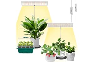 LORDEM Grow Light for Indoor Plant, Full Spectrum LED Plant Light, Height Adjustable Growing Lamp with Auto On/Off Timer 4H/8H/12H, 4 Dimmable Brightness, Ideal for Home Desk Plant Lighting, 2 Pack