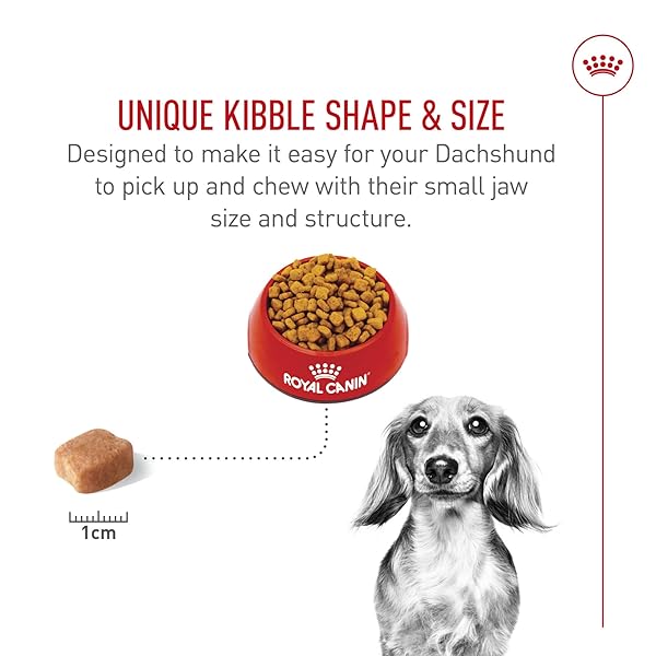 ROYAL CANIN DACHSHUND ADULT BREED SPECIFIC DRY DOG FOOD, 2.5 LB BAG