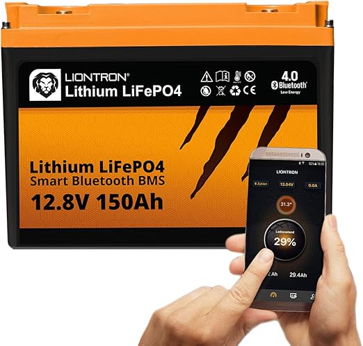 Lion 12v аккумулятор