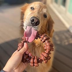 Nylabone Power Chew Textured Dog Chew Ring Toy, Dog