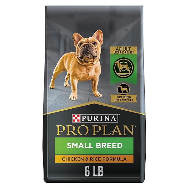 PURINA PRO PLAN SMALL BREED DRY DOG FOOD CHICKEN AND RICE FORMULA WITH GUARANTEED LIVE PROBIOTICS – 6 LB. BAG