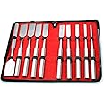 OdontoMed2011® 10 Pieces Set HIBBS Osteotome Orthopedic Instruments with Carrying CASE ODM