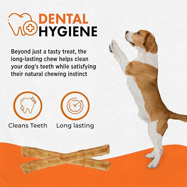 CANINE NATURALS CHICKEN RECIPE CHEW – RAWHIDE FREE DOG TREATS – MADE FROM USA RAISED CHICKEN – ALL-NATURAL AND EASILY DIGESTIBLE – 10 COUNT OF 5 INCH STICK