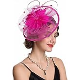 KERITANE Fascinators Hat Tea Party Vintage Feather Fascinator with a Headband and a Clip for Girls and Women