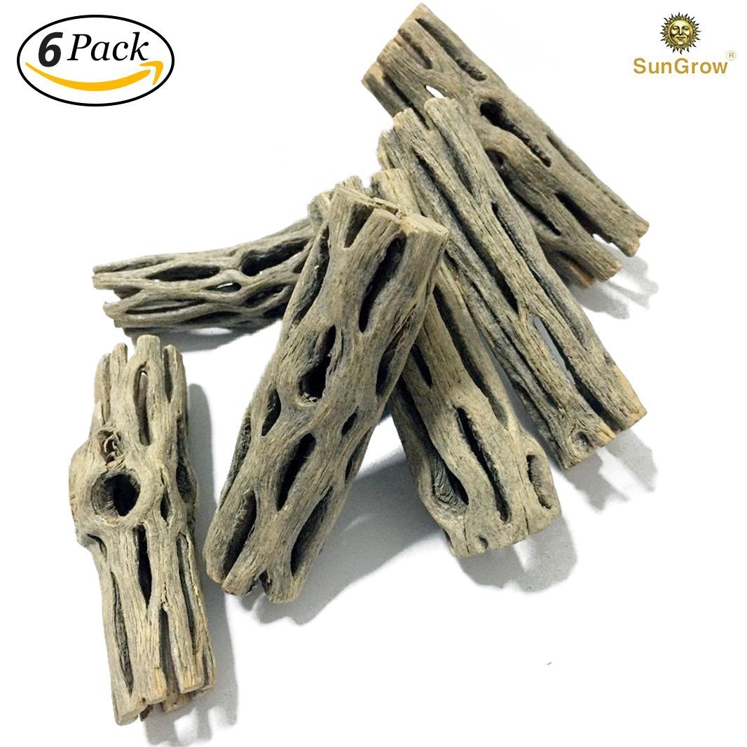 6-pcs Natural Cholla wood for Chinchillas by SunGrow - 100% Organic soft wood, Chemical-free, thorn-free - Keeps Chinchilla teeth healthy - Chew toy for ferrets, guinea pigs, gerbils, mice, hamsters