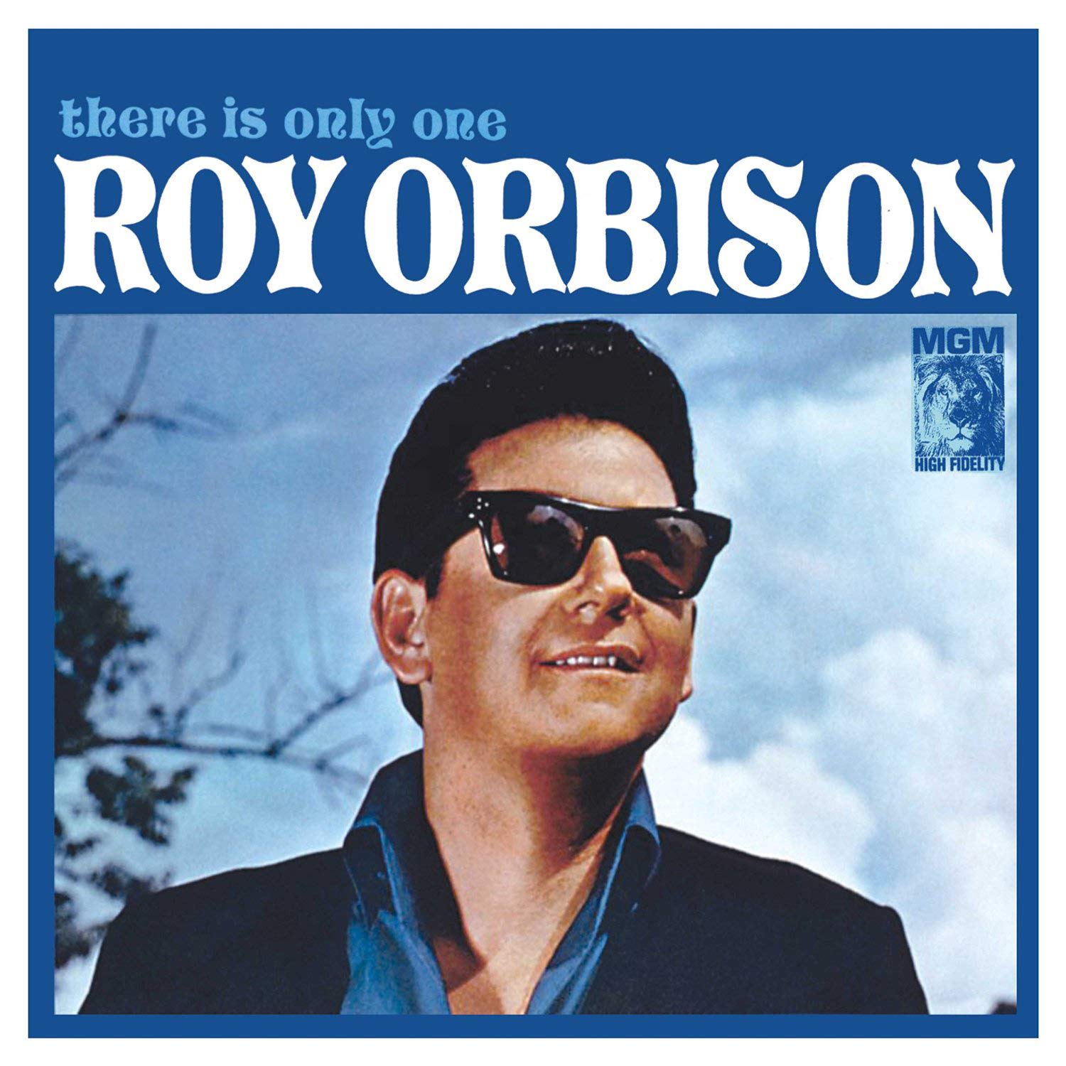 Best Roy Orbison There Won’t Be Many Coming Home