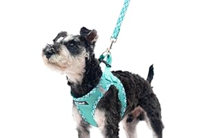 PUPTECK Dog Harness and Leash Set for Small Medium Dogs No Pull Step-in Soft Mesh Puppy Cat Vest Harnesses Reflective at Night, Green S