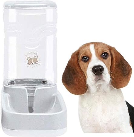 giant dog water bowl