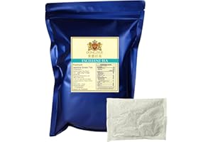 Dong Jyue Premium Jasmine Green Tea, Commercial-Use Tea Bags, 25g Large Bags, 24 Count (Pack of 1), Taiwanese Jasmine Green Tea for Green Milk Tea & Fruit Tea | Enjoy Hot or Iced | 21.16 oz / 600g Total