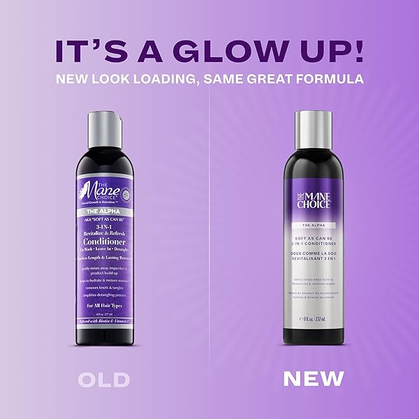 THE MANE CHOICE THE ALPHA 3-IN-1 CONDITIONER: CO-WASH, LEAVE IN CONDITIONER & DETANGLER FOR COILY, WAVY, OR CURLY HAIR, REFRESH & REVITALIZE, MOISTURIZING CONDITIONER, 8 OZ