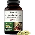 NatureBell Dihydroberberine with Berberine HCl 500mg, 120 Veggie Capsules | 5X Better Absorbed with GlucoVantage – Supports Balanced Sugar Levels & Heart Health – Non-GMO, Vegan-Friendly