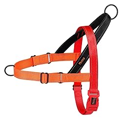 Didog No Pull Dog Harness with Soft Padded