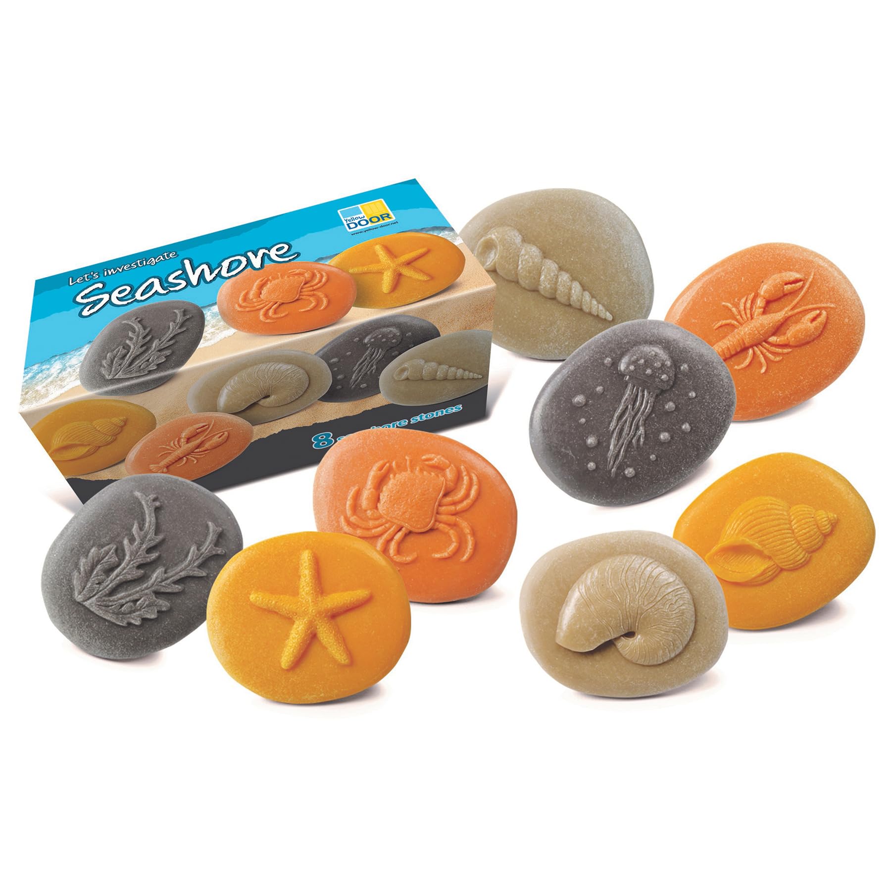Yellow Door Let’s Investigate Seashore | Set of 8 stones for sand, water and messy play| Early educational learning |Ocean STEM kit | kids age 2,3,4,5 | Outdoor shell, crab, jellyfish toys