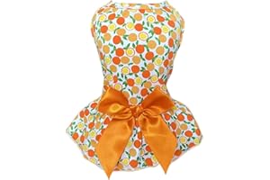 Petroom Small Dog Dresses,Cute Princess Floral Skirt Cat Apparel Female for Yorkie(Lemon S)