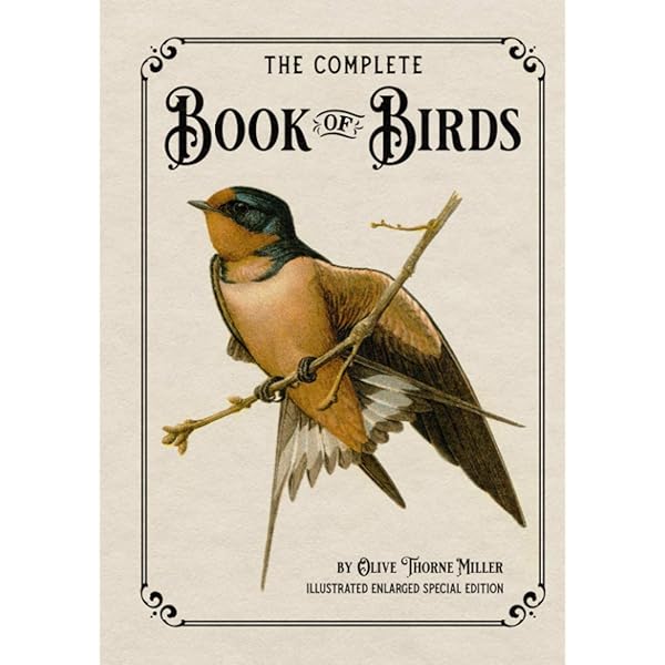 Oxford英語絵本170冊 songbirds Fireflies 多読 Oxford英語絵本170冊 songbirds Fireflies 多読 ファッション