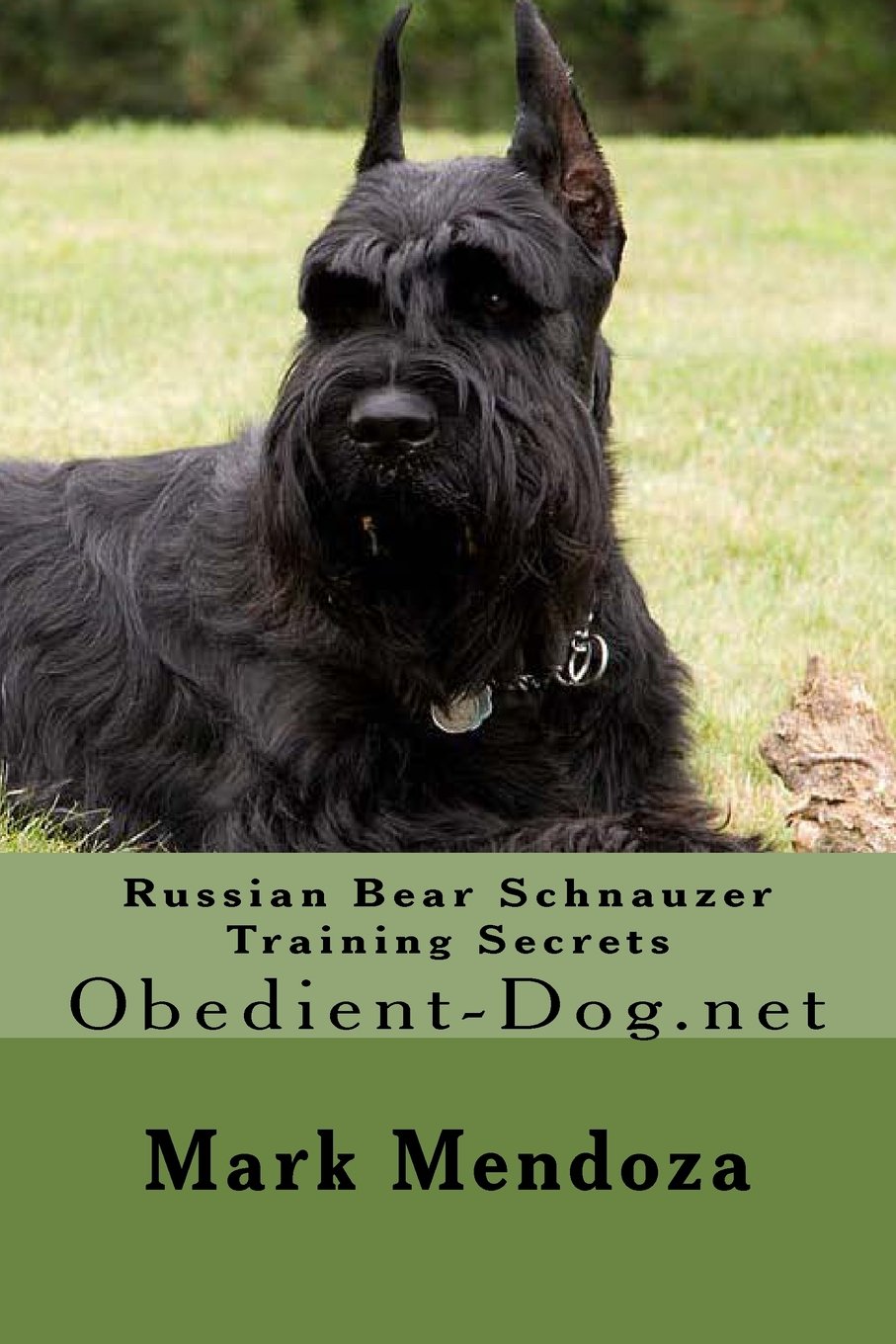 russian bear schnauzer