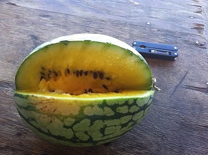 15 Seeeds Von Wassermelone Baby Doll Gelb Melone Samen Gelb Wassermelone Amazon De Kuche Haushalt