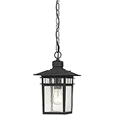Nuvo Lighting 60/4956 Traditional One Light Hanging Lantern from Cove Neck collection in Black finish