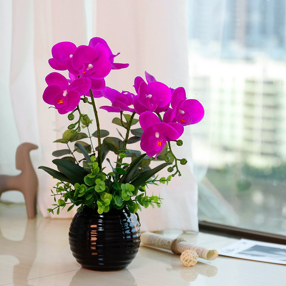 Best Orchid Centerpieces For Dining Table