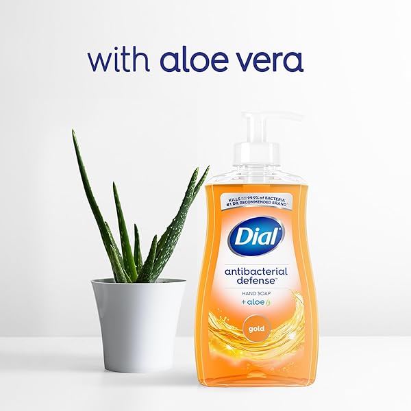 DIAL ANTIBACTERIAL LIQUID HAND SOAP, GOLD, 11 FL OZ