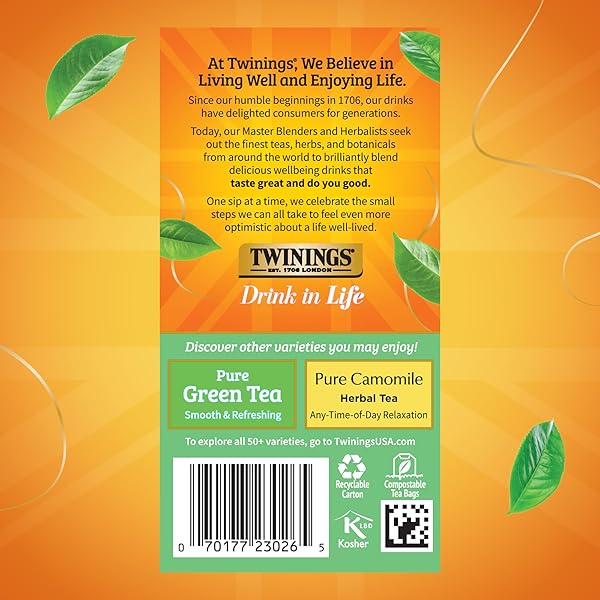 TWININGS PURE WHITE TEA INDIVIDUALLY WRAPPED BAGS, 20 COUNT (PACK OF 6), LIGHT & FRESH, CAFFEINATED, ENJOY HOT OR ICED, 120 TEABAGS