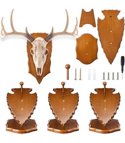 Walnut Hollow Country Deluxe Multi Species Euro Skull Mount Kit in Solid Walnut