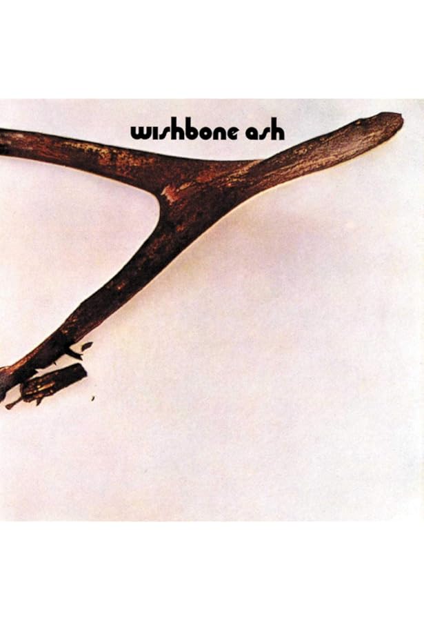 71zV3uEnGvL._AC_UL900_SR615,