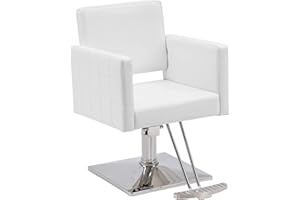 BarberPub Classic Styling Salon Chair for Hair Stylist Hydraulic Barber Chair Beauty Spa Equipment 8821 (Pure White)