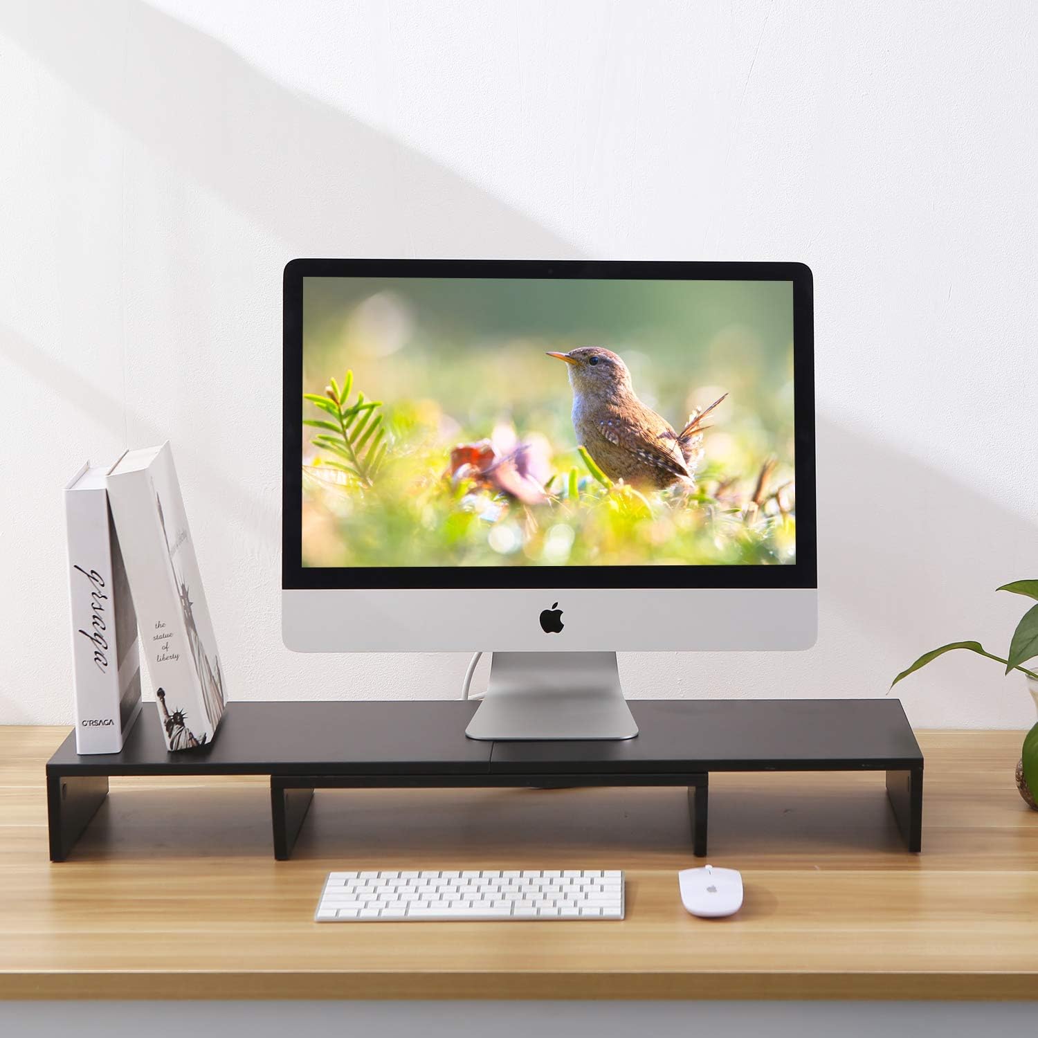 5Rcom Dual Monitor Stand 3 Shelves Desk Riser with Adjustable Length and Angle Computer TV PC Laptop Screen Stand, Multi Desktop Stand Storage Organizer for iMac, Printer, Notebook : Office Products