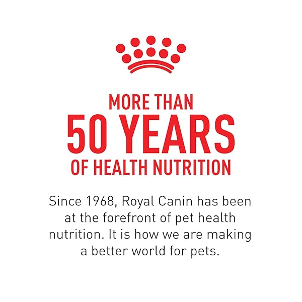 ROYAL CANIN BREED HEALTH NUTRITION CHIHUAHUA ADULT LOAF IN SAUCE WET DOG FOOD, 3 OZ CAN (4-PACK)