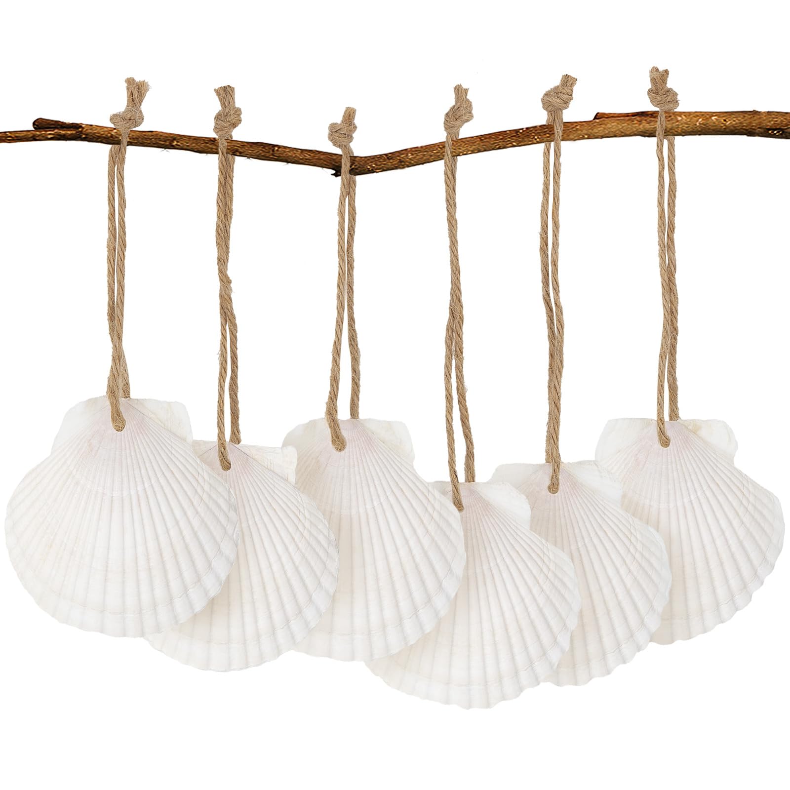 Photo 1 of 16PCS Natural Sea Shells 2.5"-3.5" Perforation Scallop Shells with Rope,for Christmas Tree Ornaments & DIY Hanging Home Deocration Craft Shells