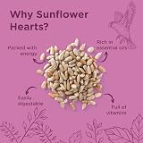 Extra Select Sunflower Hearts Bird Food Husk-Free High Energy 3 Litre Bucket view 5