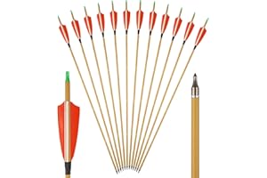 TOPARCHERY Premium 30" Carbon Hunting Arrows with 4" Real Turkey Feathers Fletching and Removable Tips - 500 Spine Practice Target Arrows for Recurve Bow Long Bow -12Pcs