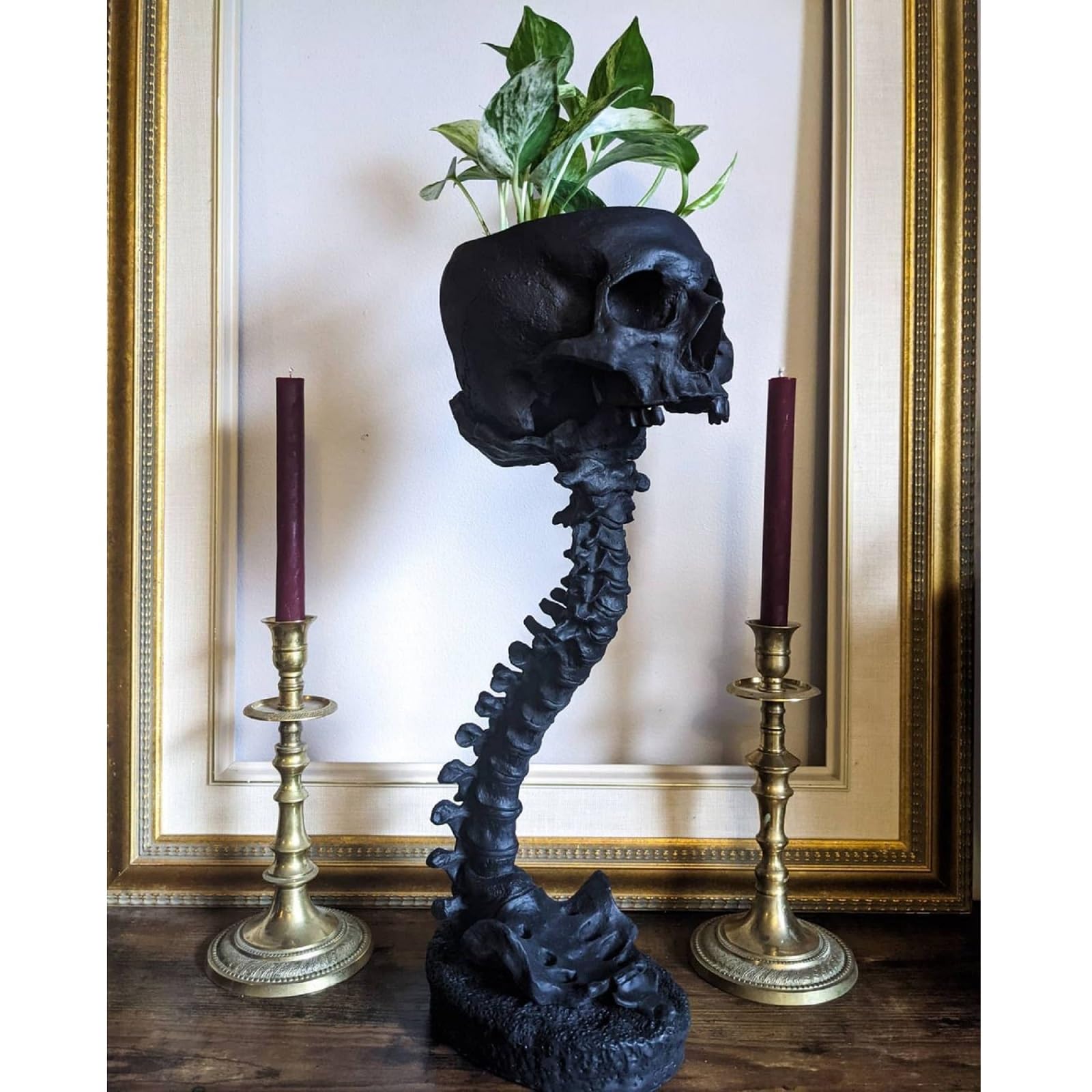 Photo 1 of abocyn Skull Planter & Spine Stand, Resin Skeleton Flower Pot, Gothic Spooky Halloween Home Decor, Horror Skull Decor, Candy Bowl, Halloween Decorations for Home Office Indoor Outdoor Decor